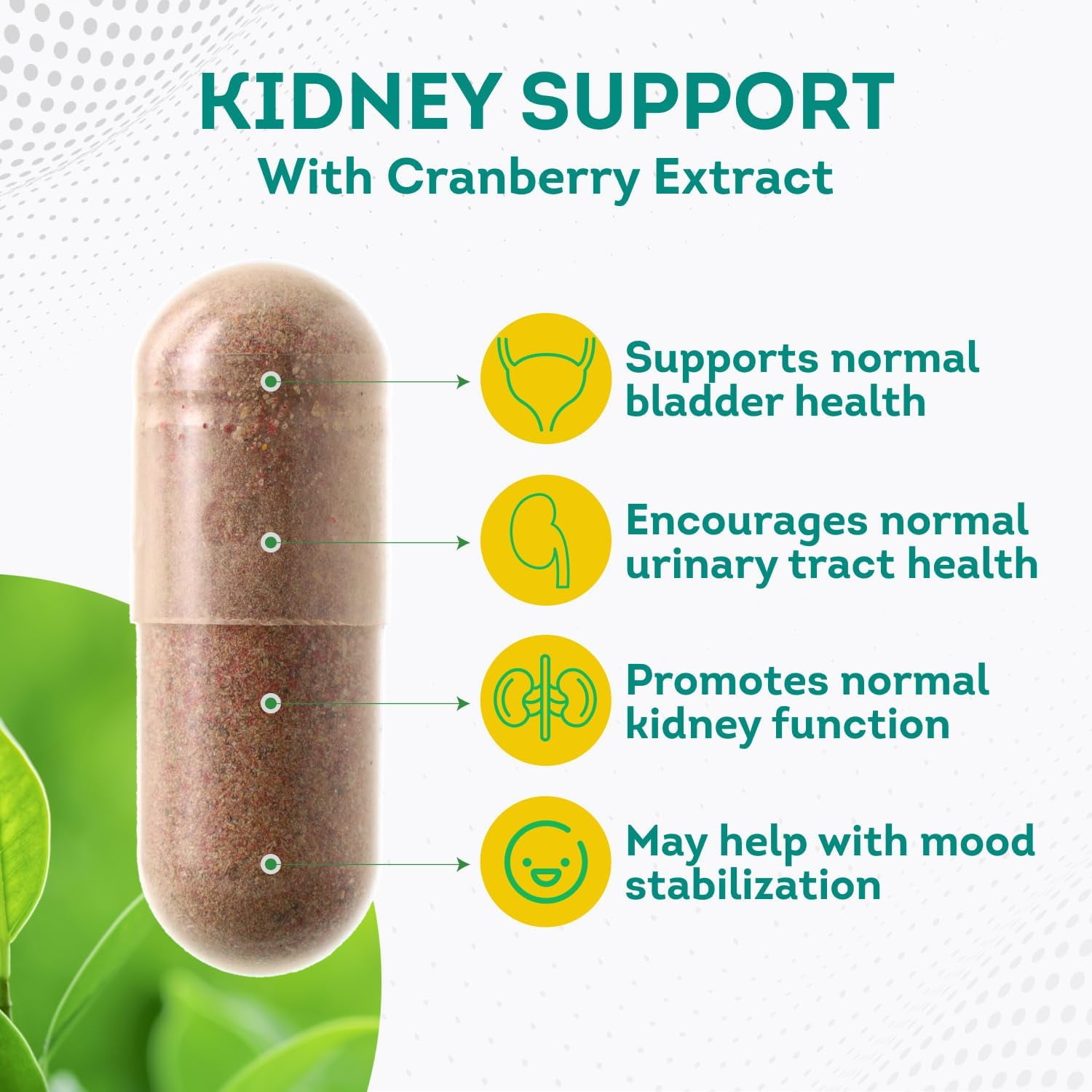 PurePremium Kidney Support Supplement with Cranberry & Astragalus - 60 Pills for Urinary Health