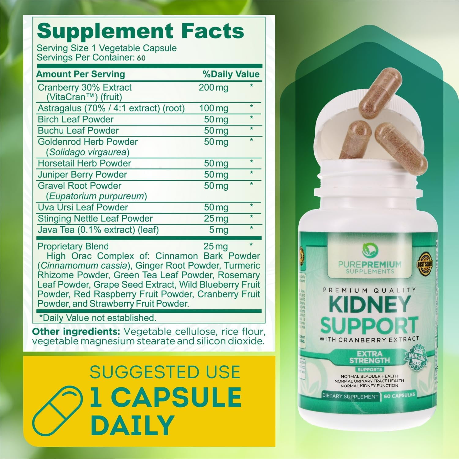 PurePremium Kidney Support Supplement with Cranberry & Astragalus - 60 Pills for Urinary Health