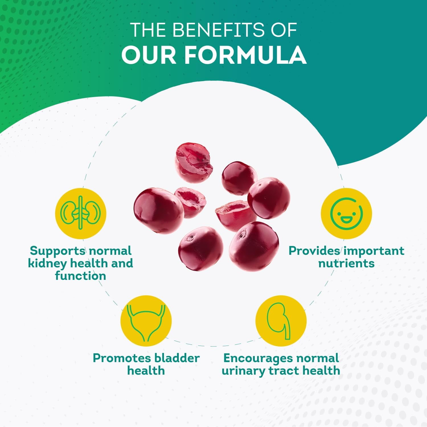 PurePremium Kidney Support Supplement with Cranberry & Astragalus - 60 Pills for Urinary Health