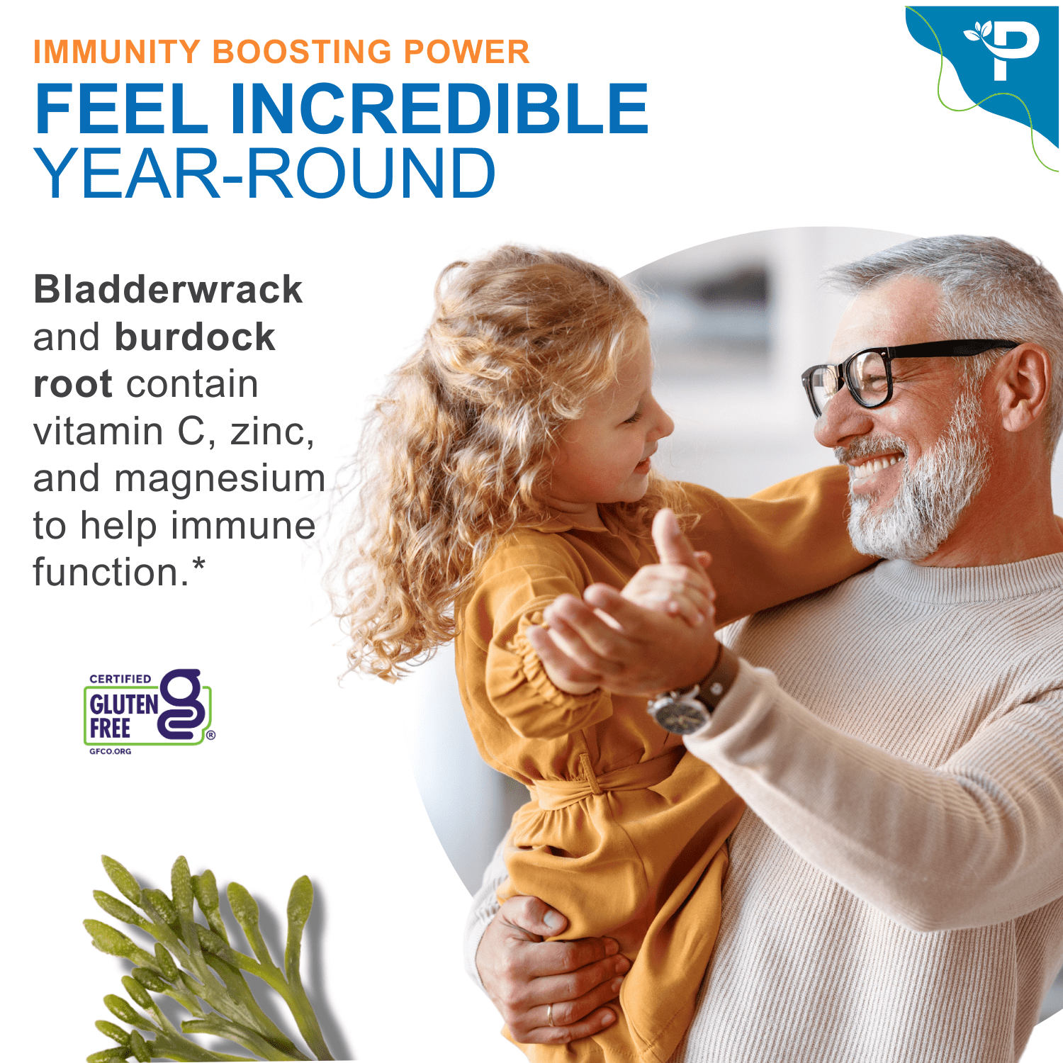 Power Organic Sea Moss, Bladderwrack & Burdock Root Supplement - Gut, Energy, Immune Support - 60 Capsules
