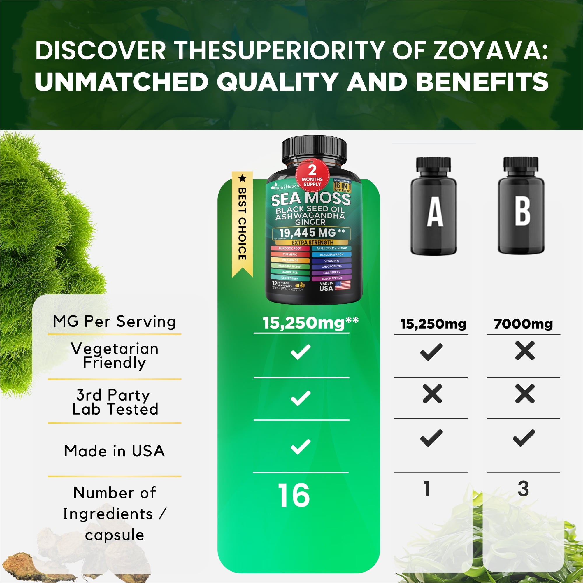 Nutri Nation 16-in-1 Sea Moss Black Seed Oil Supplement - 2 Bottles