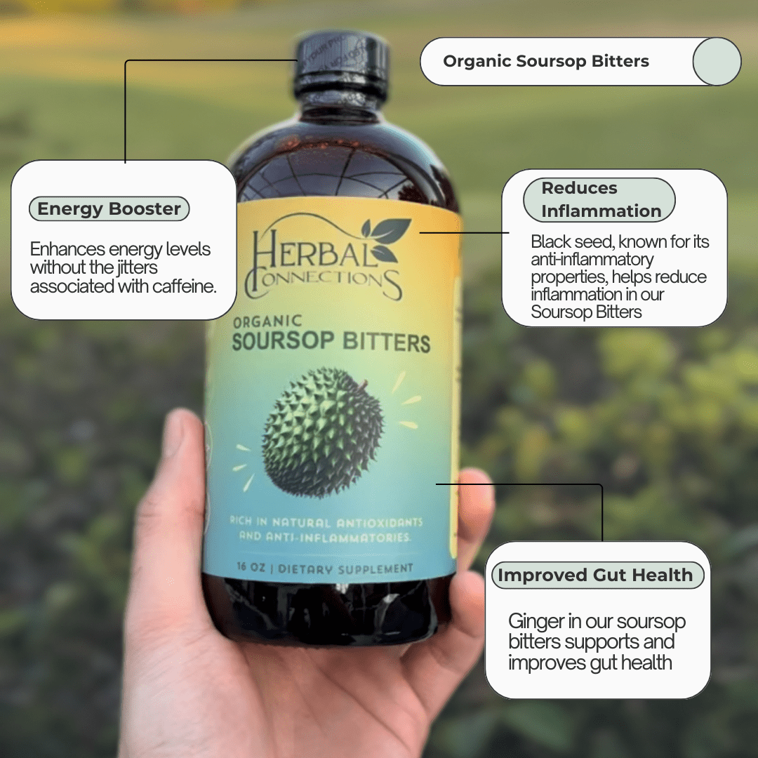 Herbal Connections Soursop & Black Seed Bitters Bundle - 32 oz Wellness Supplement
