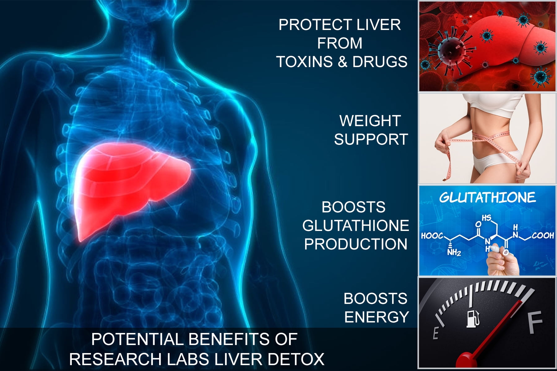Research Labs Premium Liver Detox Cleanse with Milk Thistle & 23 Powerful Herbs - Doctor Recommended