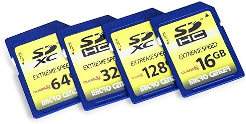 Inland 64GB Class 10 SDXC Memory Cards for Trail Cameras (2 Pack)
