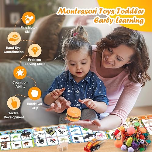 Montessori Sorting Toys Set for Toddlers, Fine Motor Skills Games, Preschool Learning Activities - Ages 2+