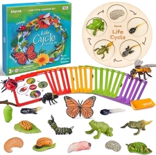 LifeGuangzhou  Cycle Learning Toys for Kids: Insect to Butterfly Kit, Ladybug, Bee, Tadpole to Frog - Ages 3-8