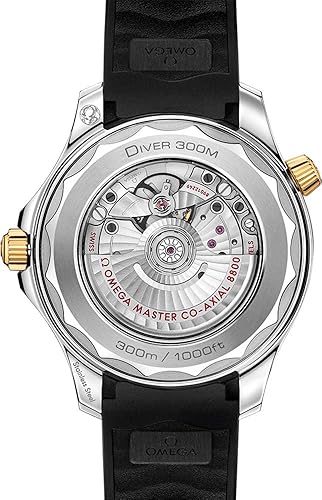 Omega Seamaster Men's Watch Black Dial Automatic Chronometer - Model 210.22.42.20.01.001
