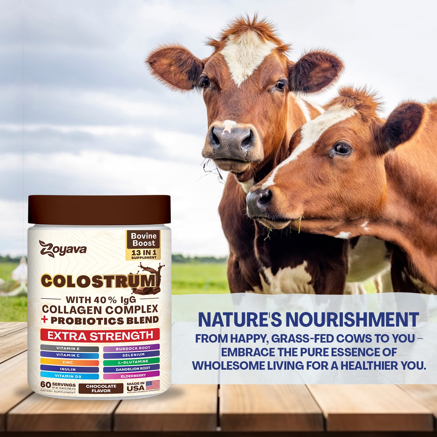 ZOYAVA CHOCOLATE COLOSTRUM POWDER: 40% IGG, 13-IN-1 SUPPLEMENT WITH COLLAGEN, PROBIOTICS, ELDERBERRY, ZINC, VITAMIN C & D3