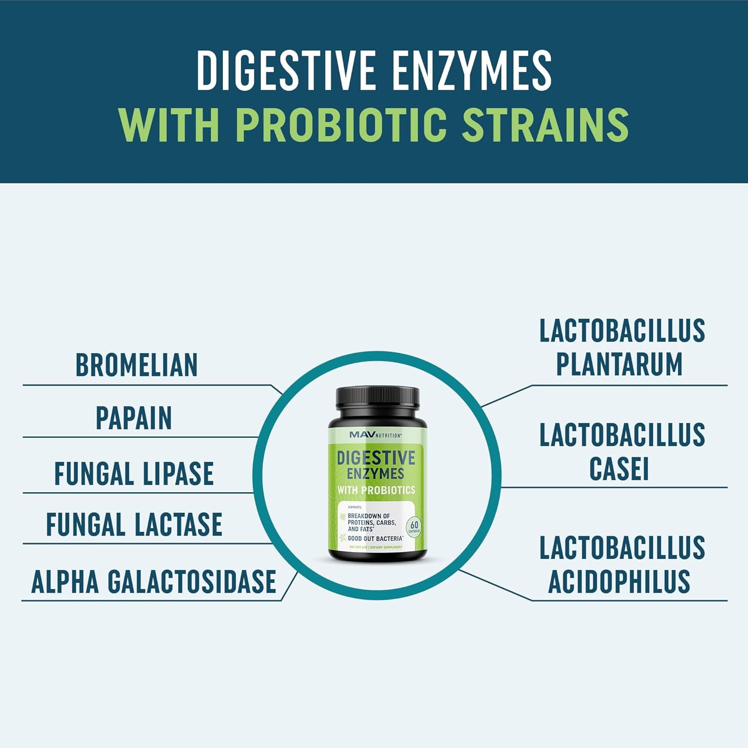 MAV NUTRITION DIGESTIVE ENZYMES 400MG WITH PROBIOTICS FOR DIGESTIVE HEALTH & BLOATING RELIEF | ENZYME BLEND & PROBIOTIC STRAINS | VEGETARIAN | 60 CT