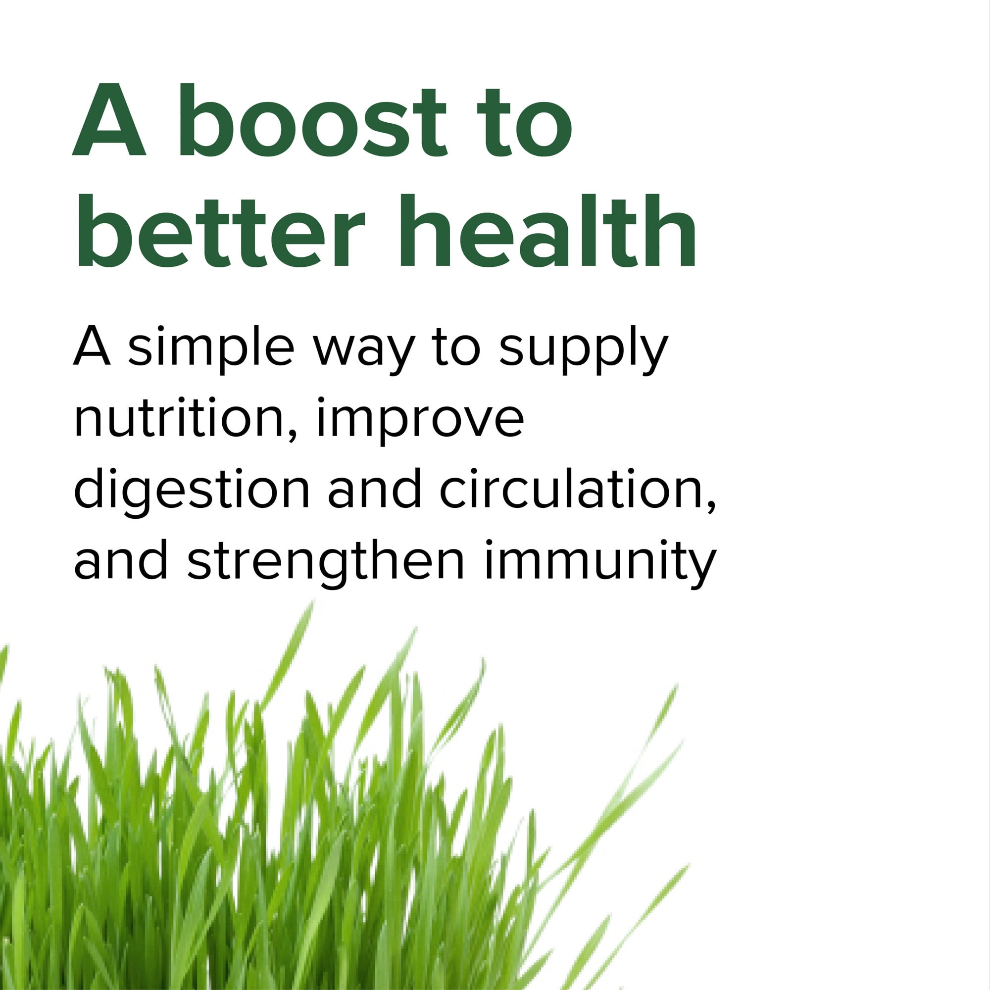 Vibrant Health Vibrance Vegan Superfood Powder - 60 Servings