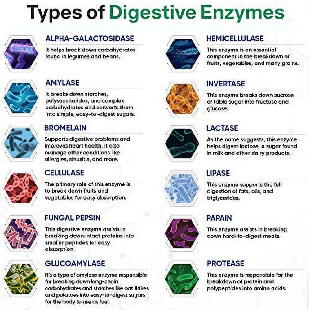 Wholesome Wellness Digestive Enzymes with Prebiotics & Probiotics, 180 Capsules, Better Digestion & Lactose Absorption