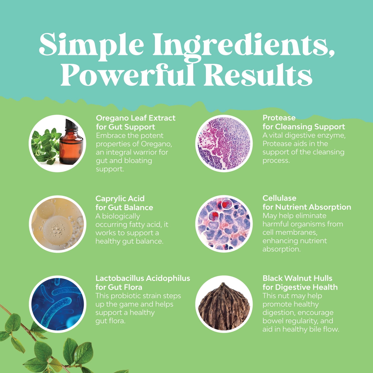 Natures Craft Candida Complex Capsules - Probiotics, Enzymes, Oregano Extract