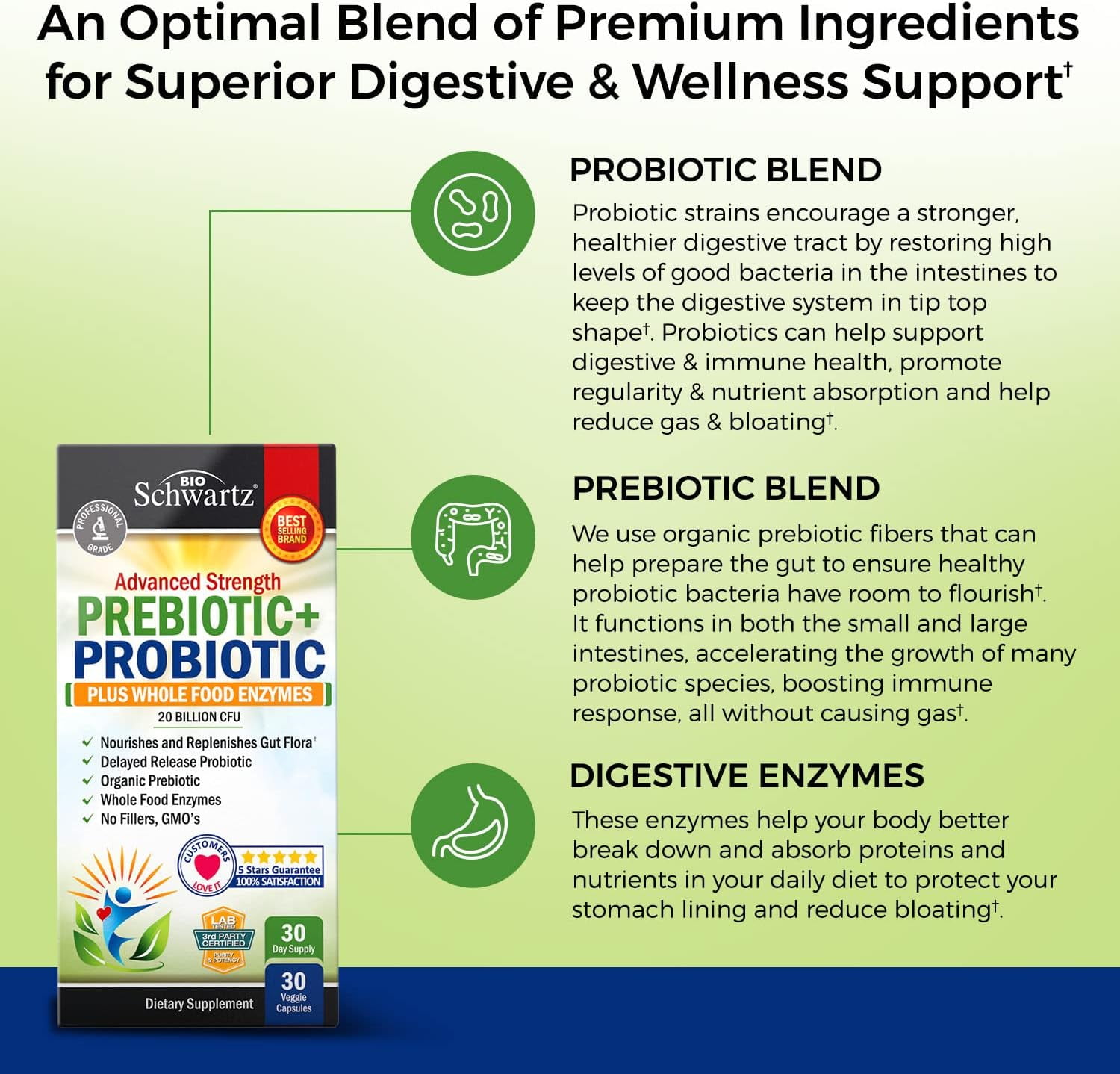 BioSchwartz Prebiotic Probiotic Capsules for Gut Health - 30 Count