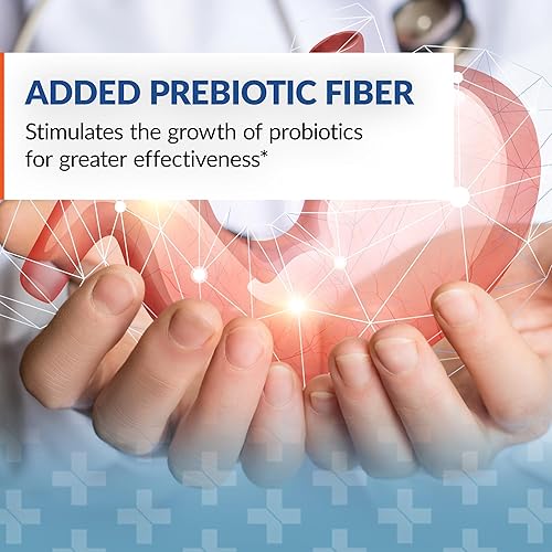 Syntol 3-in-1 Formula: Probiotics, Prebiotic Fiber, & Enzymes - 360 capsules