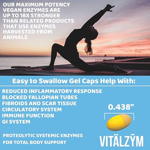 Serrapeptase Enzyme Gel Capsules for Immune & Joint Support, Pain Relief, Fertility - 360 Caps
