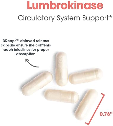 Lumbrokinase Supplement for Circulatory Health - 30 Delayed Release Capsules