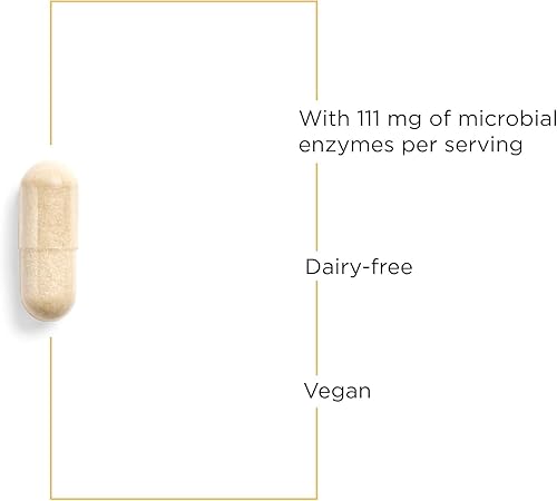 Lipase Concentrate-HP Digestive Enzyme Supplement - 90 Vegan Capsules