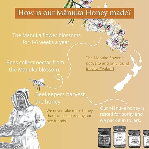 BeeNz Certified UMF 15+ BeeNZ Raw Manuka Honey from New Zealand - 8.8 oz