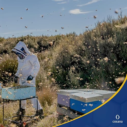 Cosana Manuka Honey 400 MGO+ 8.8oz (250g) - New Zealand Certified Pure
