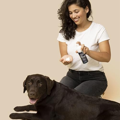 HONEST PAWS WATERLESS DOG DRY SHAMPOO - ITCH RELIEF, HYDRATION & ODOR CONTROL - OATMEAL & LAVENDER - 6.3 OZ"