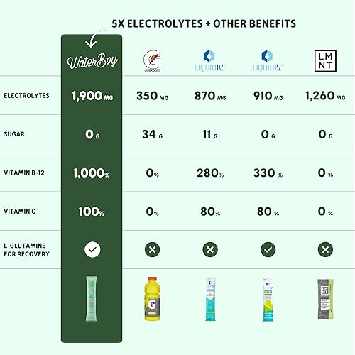 Waterboy Workout Hydration Electrolyte Powder Packets | Sugar Free, All Natural, Gluten Free | Variety