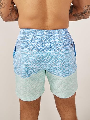 CHUBBIES MEN'S SWIM TRUNKS: 5.5" BEACH SHORTS WITH 4-WAY STRETCH AND MESH LINING