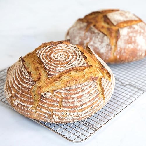 JOVIAL ORGANIC EINKORN UNBLEACHED ALL PURPOSE FLOUR FOR SOURDOUGH BREAD - HIGH PROTEIN, NON-GMO, 10 PACK - 32 OZ