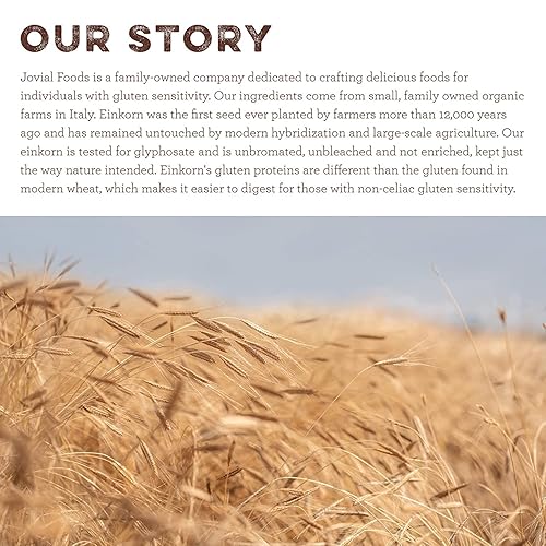 JOVIAL ORGANIC EINKORN WHOLE WHEAT FLOUR - HIGH PROTEIN SOURDOUGH BREAD & PIZZA FLOUR - 32 OZ, 2 PACK