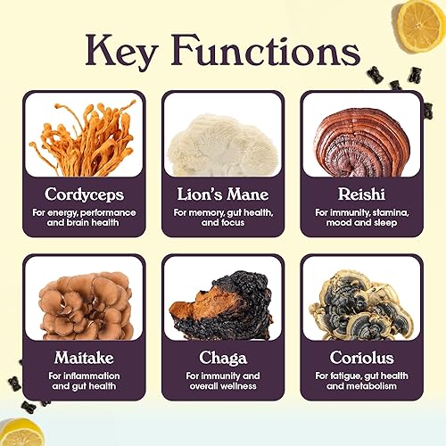 GRUNS NUTROPS LIONS MANE MUSHROOM GUMMIES WITH REISHI, CHAGA CORDYCEPS BRAIN, MEMORY FOCUS SUPPORT, 28 PAC