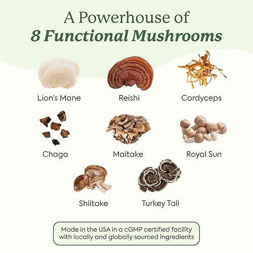 PLANT PEOPLE WONDERDAY MUSHROOM GUMMIES LION S MANE, CORDYCEPS, CHAGA, IMMUNE ENERGY BOOST, VEGAN, 6