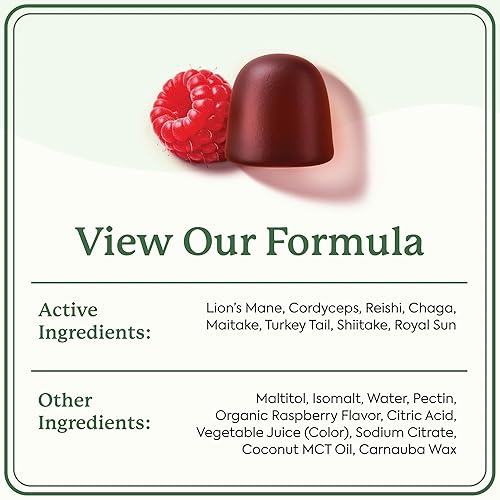 PLANT PEOPLE WONDERDAY MUSHROOM GUMMIES LION S MANE, CORDYCEPS, CHAGA, IMMUNE ENERGY BOOST, VEGAN, 6