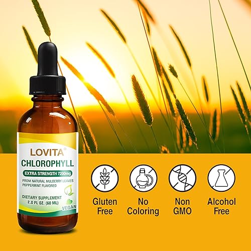 LOVITA CHLOROPHYLL LIQUID 120MG ML - NATURAL MULBERRY LEAF, ENERGY, IMMUNITY SKIN HEALTH, 2OZ