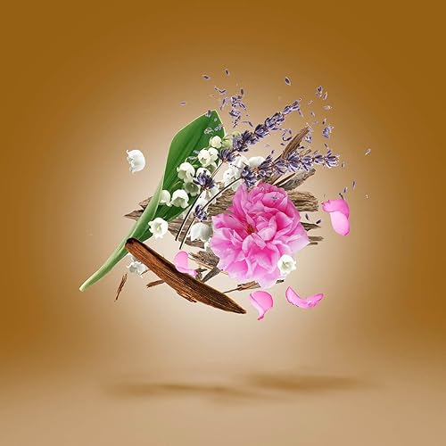 XERJOFF  ALEXANDRIA II LUXURY PERFUME EXCLUSIVE UNISEX FRAGRANCE, LONG-LASTING SCENT