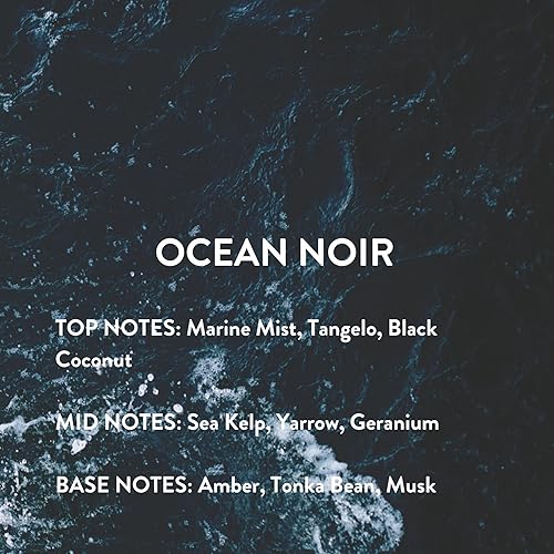 MICHAEL MALUL OCEAN NOIR EAU DE PARFUM GIFT SET - 100ML 10ML SPRAY PERFUME BUNDLE