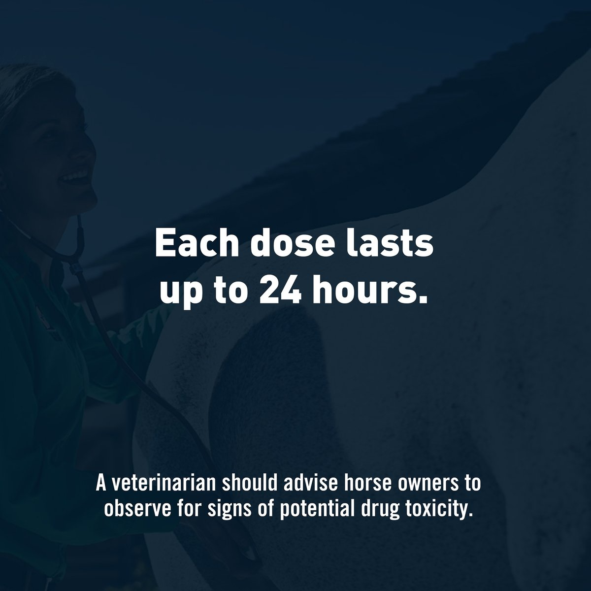 EQUIOXX (FIROCOXIB) TABLETS FOR HORSES, 57 MG, 180 TABLETS