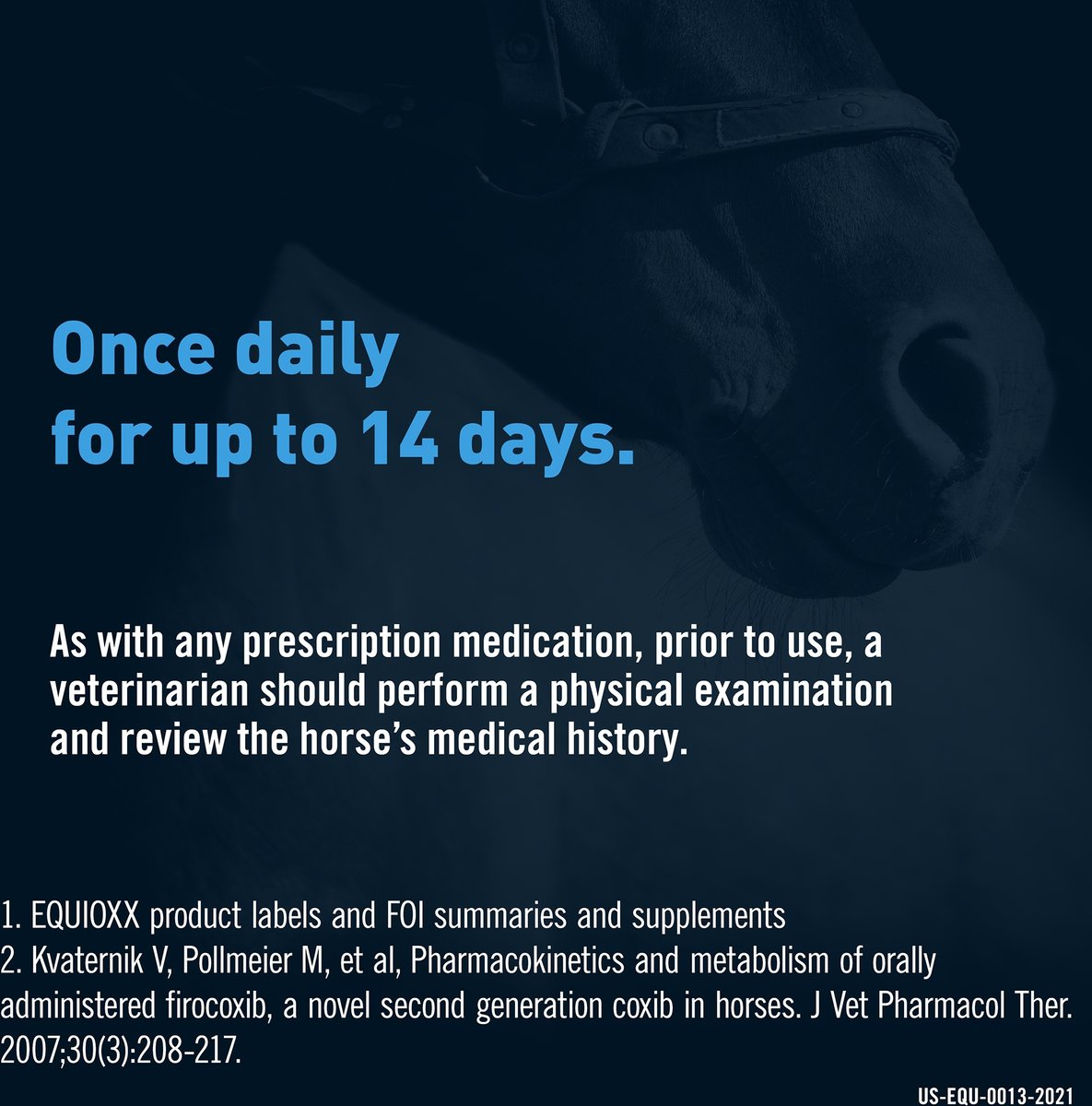 EQUIOXX (FIROCOXIB) TABLETS FOR HORSES, 57 MG, 180 TABLETS