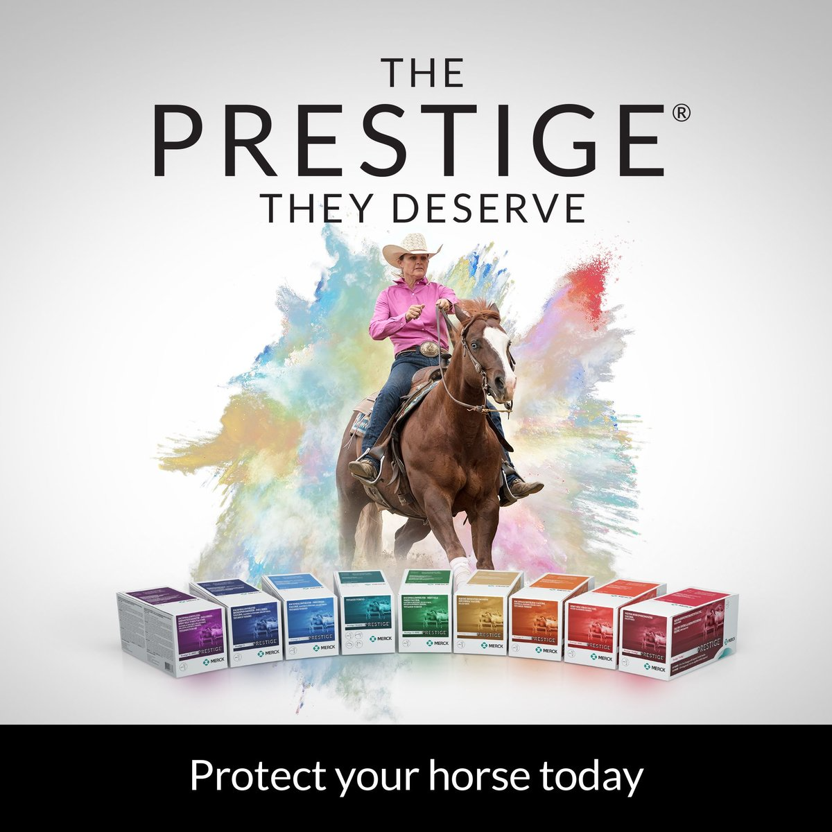 PRESTIGE 3 + WNV VACCINE FOR HORSES, 10-ML VIAL