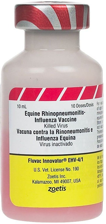 FLUVAC INNOVATOR EHV 4/1 VACCINE FOR HORSES, 10ML VIAL