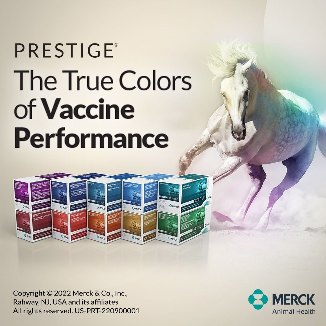 PRESTIGE WNV VACCINE FOR HORSES, 10-ML VIAL
