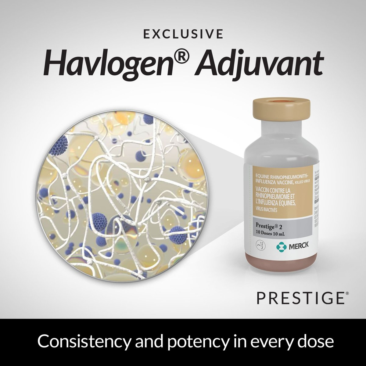 PRESTIGE 2 VACCINE FOR HORSES, 10-ML VIAL