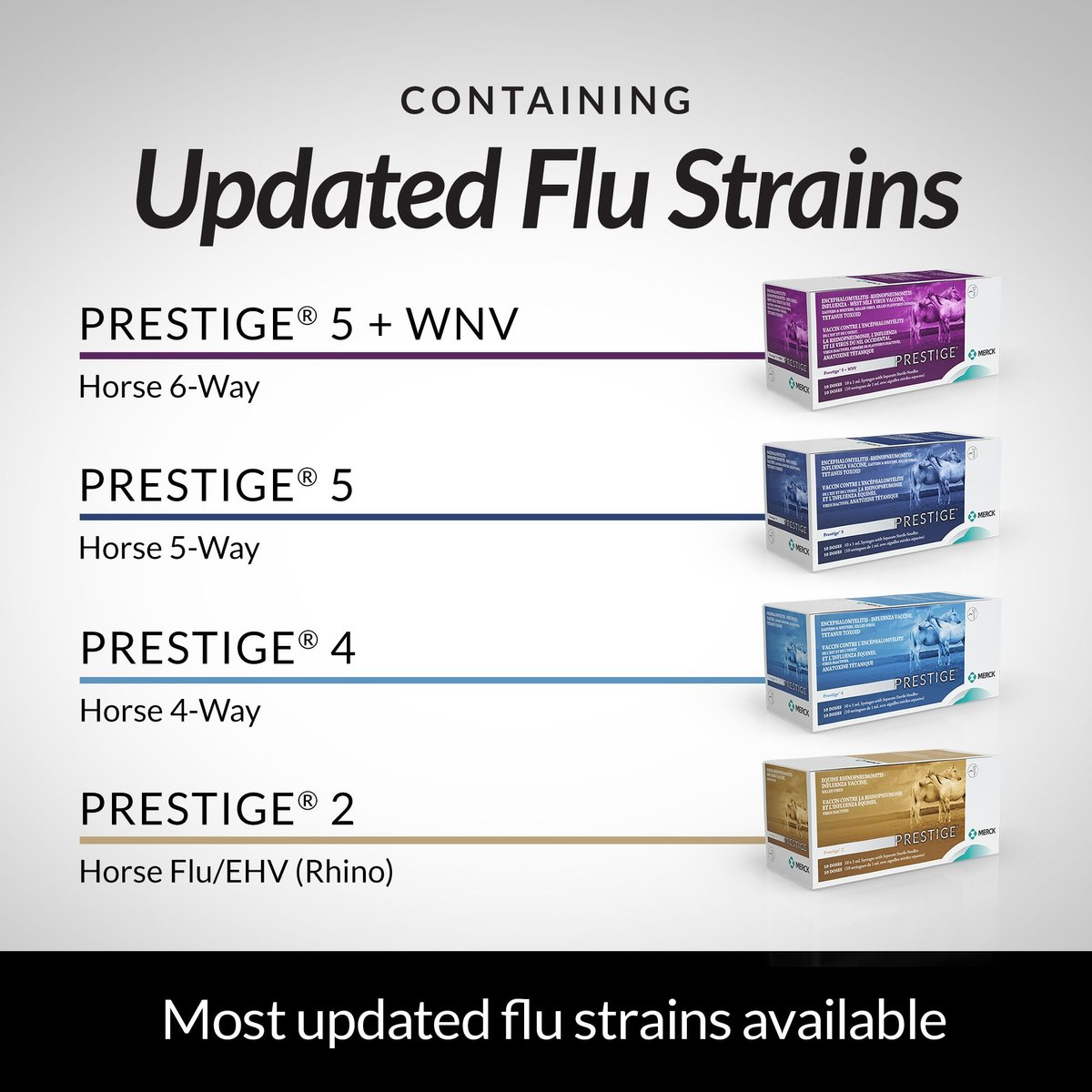 PRESTIGE 4 VACCINE FOR HORSES, 10-ML VIAL