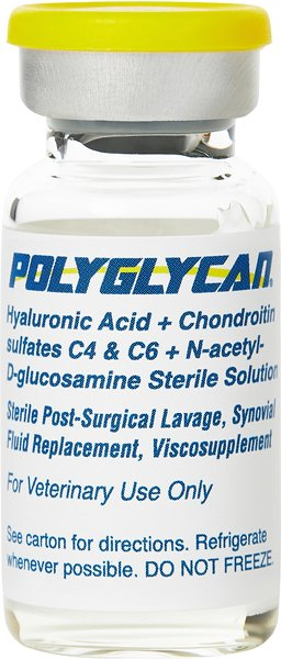 Polyglycan for Horses, 10 mL, bundle of 2 | Amerikasepetim