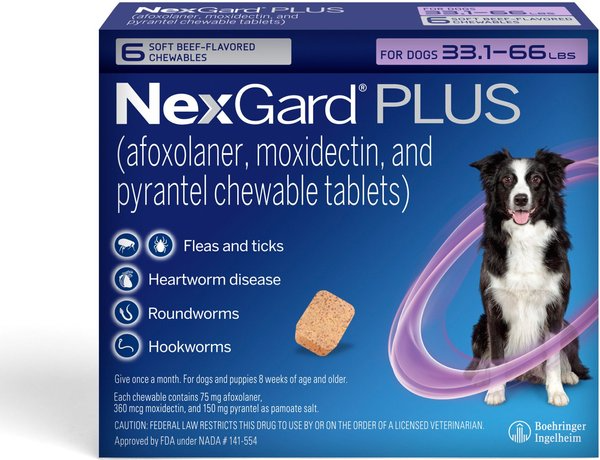 NEXGARD PLUS CHEWABLES FOR DOGS, 33.1-66 LBS. (PURPLE BOX) 6 CHEWABLE TABLETS (6-MOS. SUPPLY)