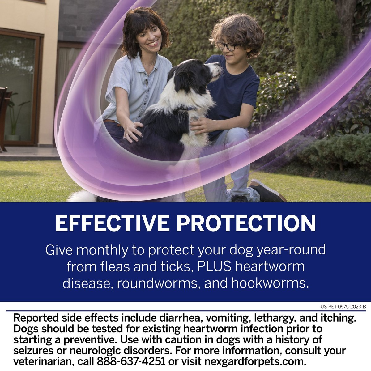 NEXGARD PLUS CHEWABLES FOR DOGS, 33.1-66 LBS. (PURPLE BOX) 6 CHEWABLE TABLETS (6-MOS. SUPPLY)