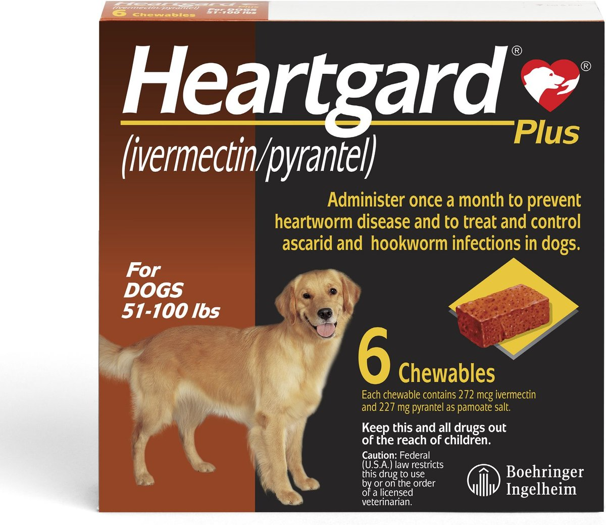 HEARTGARD PLUS CHEW FOR DOGS, 51-100 LBS, (BROWN BOX), 6 CHEWS (6-MOS. SUPPLY)