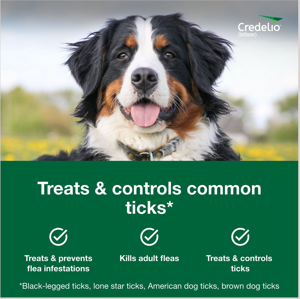 CREDELIO CHEWABLE TABLET, 50.1-100 LBS, (BLUE BOX), 12 CHEWABLE TABLETS (12-MOS. SUPPLY) + INTERCEPTOR PLUS CHEW FOR DOGS, 50.1-100 LBS, (BLUE BOX), 12 CHEWS (12-MOS. SUPPLY)