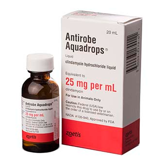ANTIROBE (CLINDAMYCIN HCI) CAPSULES FOR DOGS, 150-MG, 180 CAPSULES