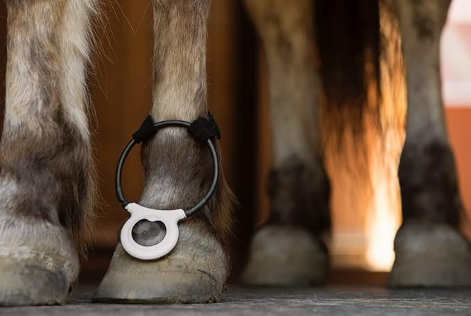 ASSISI ANIMAL HEALTH 2.0 MANUAL DOG & CAT LOOP, 10-CM