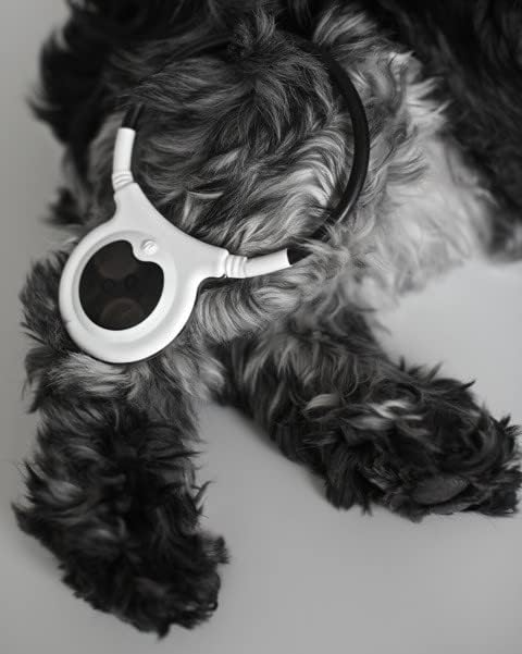 ASSISI ANIMAL HEALTH 2.0 MANUAL DOG & CAT LOOP, 10-CM