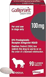 GALLIPRANT (GRAPIPRANT) TABLETS FOR DOGS, 100-MG, 90 TABLETS